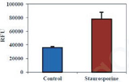 BBI細胞組學產品秋冬促銷火熱開啟，放開價勢無需再等