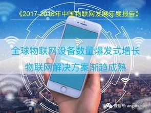 2018中國物聯(lián)網(wǎng)（IoT）報告 網(wǎng)絡(luò)信息技術(shù)開發(fā)進展與趨勢